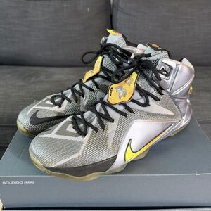 Nike LeBron XII 12 Flight Wolf Grey/Citrus 684593-080 Basketball Men's Size 13